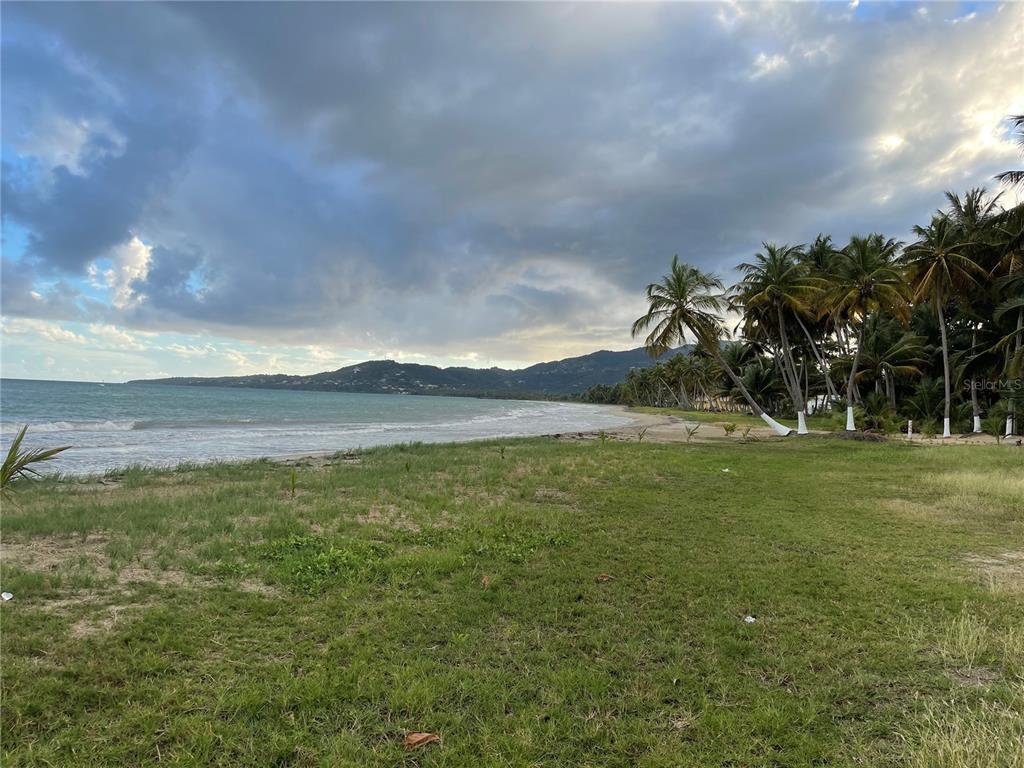 BARRIO PLAYA GUAYANES