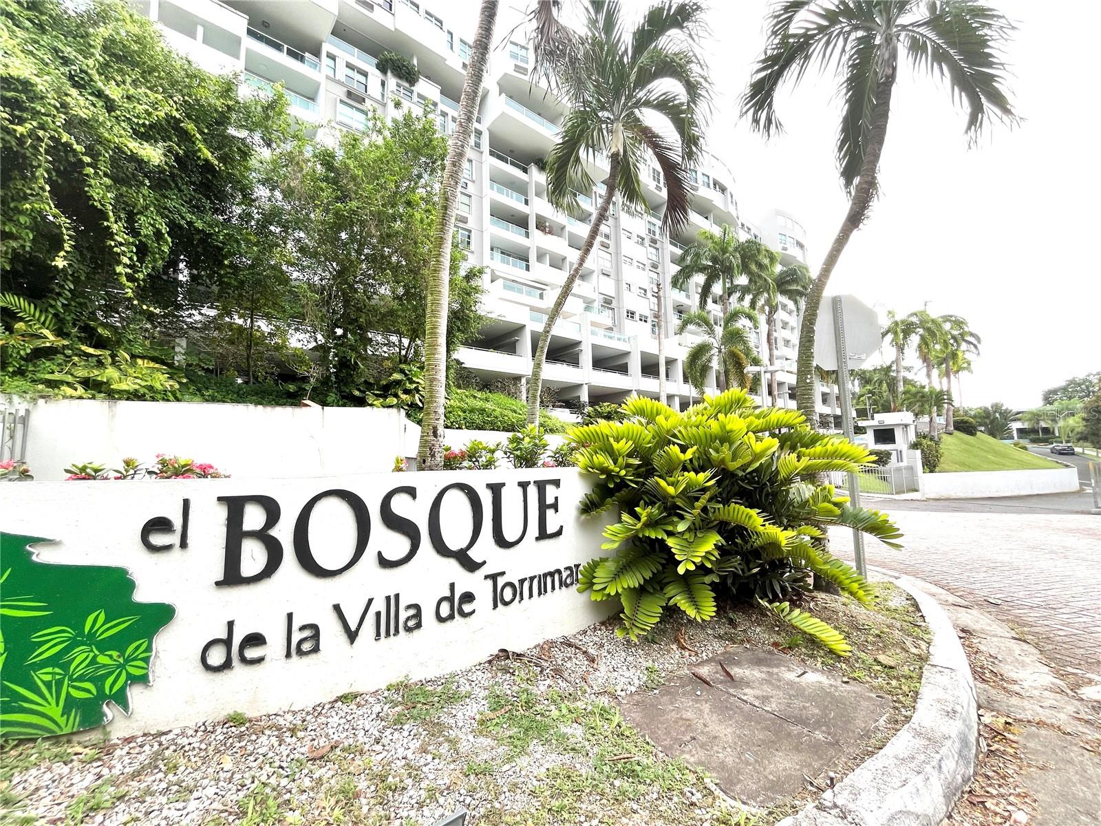 EL BOSQUE DE LA VILLA DE TORRIMAR