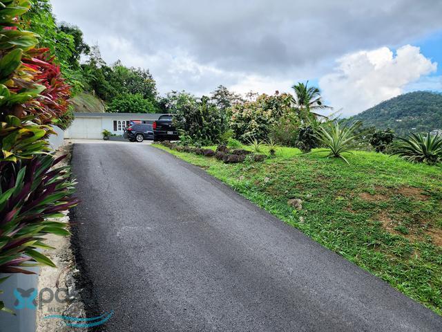 Cañaboncito, Caguas