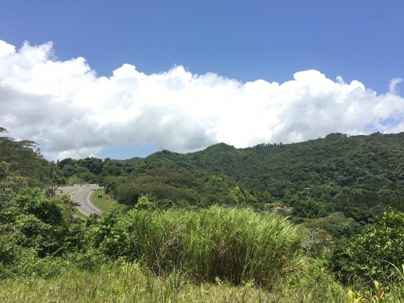 BARRIO SALTILLO TERRENO EN ADJUNTAS, PUERTO RICO