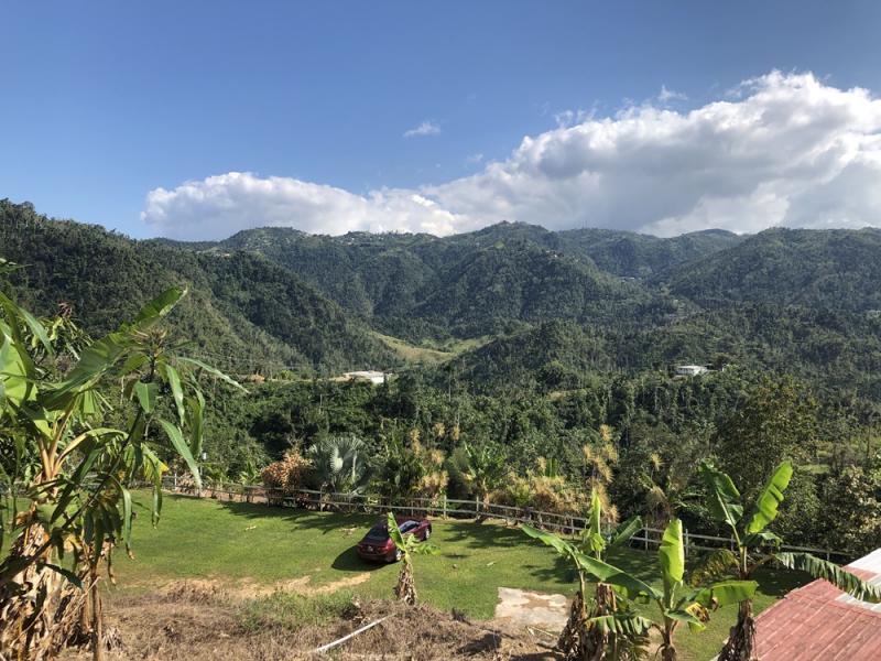 RIO GRANDE, FINCA EN MOROVIS, PUERTO RICO