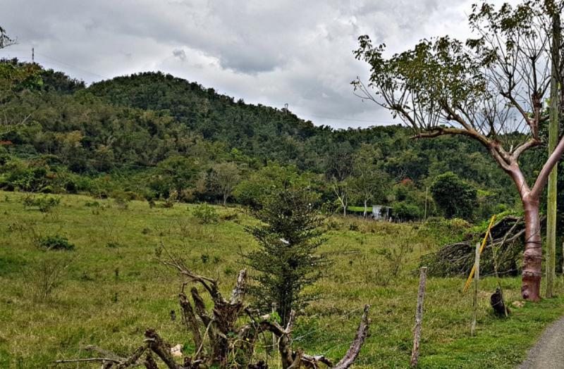 BO. NARANJITO, SOLAR EN HATILLO, PUERTO RICO