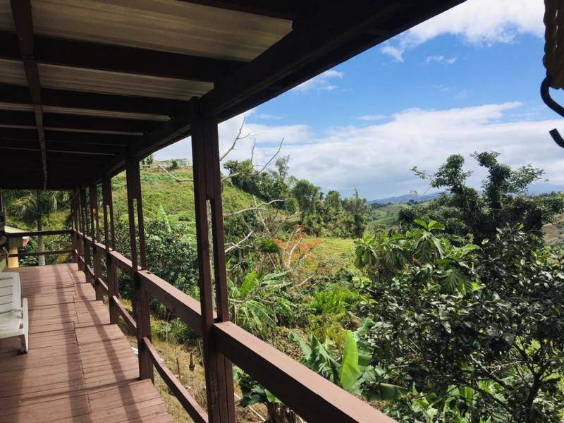 BO. QUEBRADA GRANDE, CASA EN BARRANQUITAS, PUERTO RICO