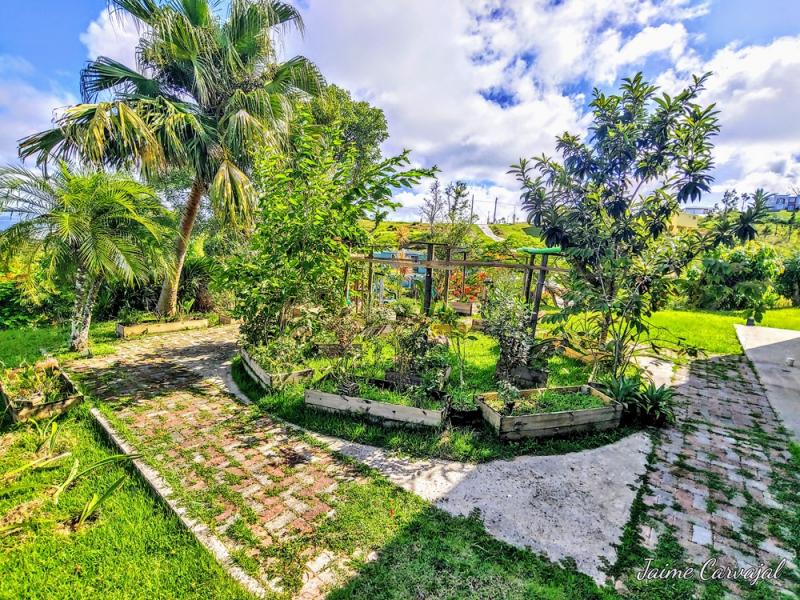 COLINAS DE MONTICELLO, CASA EN CIDRA, PUERTO RICO