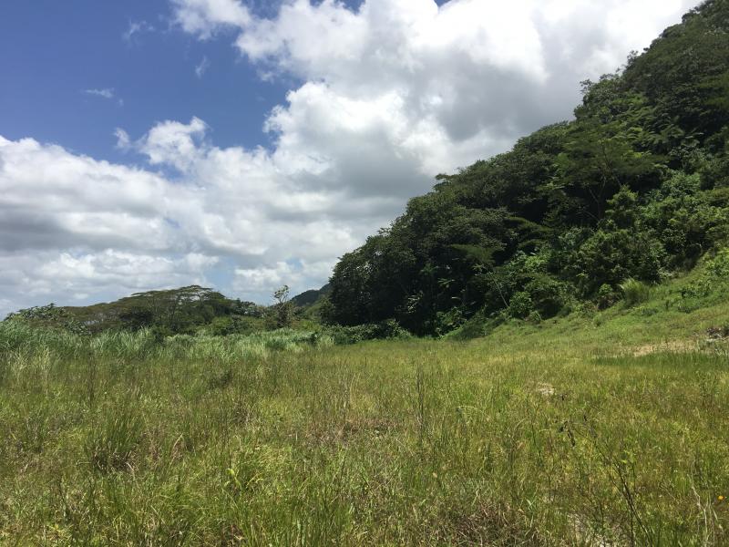 BARRIO SALTILLO TERRENO EN ADJUNTAS, PUERTO RICO