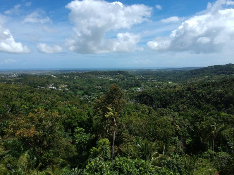 BO. GUZMAN ABAJO, CASA EN RIO GRANDE, PUERTO RICO