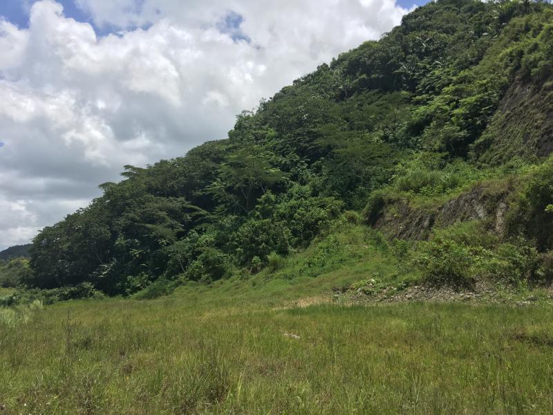 BARRIO SALTILLO TERRENO EN ADJUNTAS, PUERTO RICO