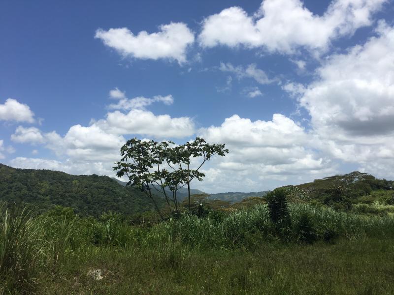 BARRIO SALTILLO TERRENO EN ADJUNTAS, PUERTO RICO
