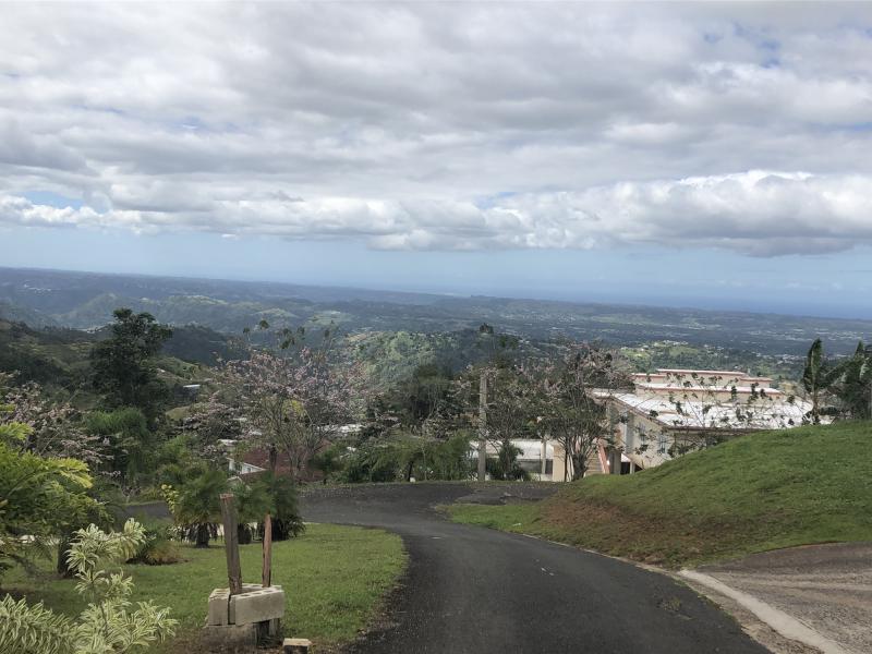 BO. PERCHAS, CASA EN MOROVIS, PUERTO RICO
