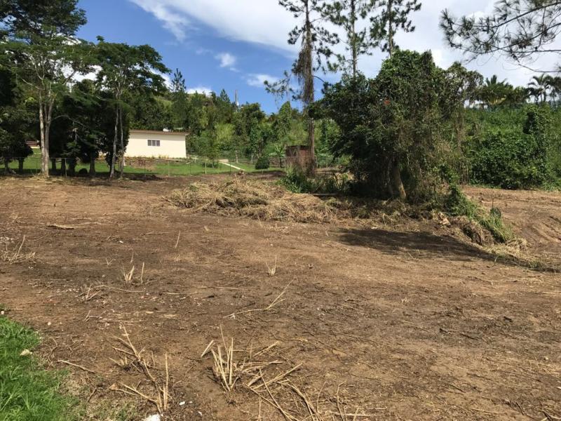 CRISTIAN BELEN, TERRENOS EN AIBONITO, PUERTO RICO